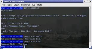 List of sftp commands (sftp will abort if any of. Bash Guide For Beginners