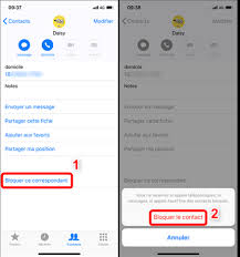 Je trouve le téléphone hyper intrusif et il me fait sursauter à chaque fois qu'il sonne. Tuto Comment Savoir Si On On Est Bloque Sur Iphone Imobie Inc