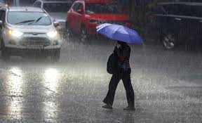 Chennai Weather: IMD issues orange alert for heavy rains in Tamil Nadu's capital city, Vellore, other districts | Today News