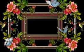 21 Frame Hd Wallpapers Background Images Wallpaper Abyss