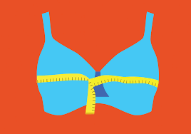 are 8 out of 10 women really wearing the wrong bra size