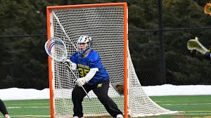 Image result for Rennera laxa