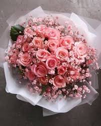 Studio matsalla2699 state st (225 feet n). 54 Spring Vibes Ideas In 2021 Flower Aesthetic Pretty Flowers Planting Flowers