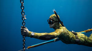 His passion and expertise.