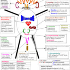 Bundle Oncology Medications Chemo Man Oncology Nursing