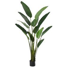 Giant Bird Of Paradise Houseplant Giant Bird Of Paradise Plant 183cm Green Plants Birds Of Paradise Plant Paradise Plant Fake Plants