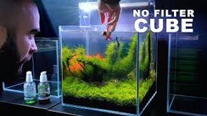 While the 5 gallon fish tank is a small one, proper filtration is still an important part of the equation. Adding New Betta Fish To No Filter Cube Aquarium Naming Md Fish Tanks Youtube