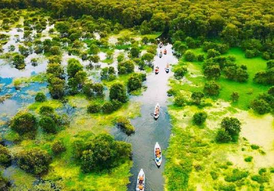 Tour Châu Đốc - Rừng Tràm Trà Sư