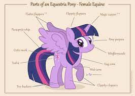 Equestria Daily - MLP Stuff!: Discussion: Do You Consider Brony to be  Furry?