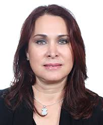 Plantilla de Integrantes de comision LXIII