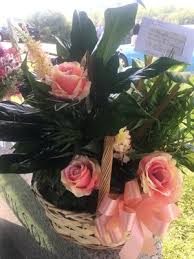 Maybe you would like to learn more about one of these? Clements 462 Sweeten Creek Rd Asheville Nc Florists Mapquest
