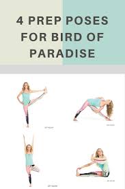 4 Prep Poses For Bird Of Paradise Bird Of Paradise Yoga Yoga Help Yoga Sequences
