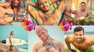 The series follows a group of contestants who live in a hotel. Paradise Hotel Diese Manner Sind Bei Der Neuen Rtl Kuppelshow Dabei