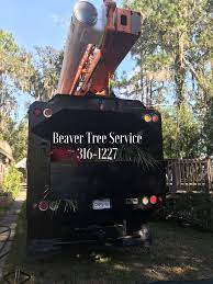 Beaver Tree Service And Stump Grinding Local Family Owned And Operated Licensed And Insured Commercial Or Residential Tree Service Pontevedra Tree Removal