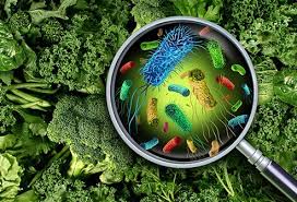Read about diagnosis, treatment, prevention. Listeria Listeriosis Symptoms Treatment Foods Prevention Contagious