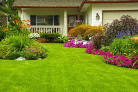 We did not find results for: 5 Tips For Creating The Garden Of Your Dreams Adorable Home