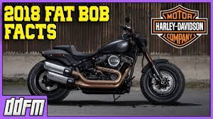 2018 Harley Davidson Fat Bob Specs And Info Youtube