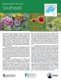 Monarch Nectar Plants Southeast Xerces Society In 2020 Milkweed Plant Plants Native Plant Gardening