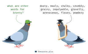 Maybe you would like to learn more about one of these? 46 Branny Synonyms Similar Words For Branny