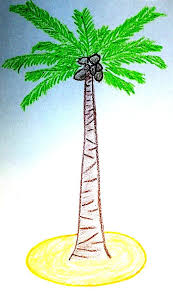 Here presented 52+ coconut tree drawing images for free to download, print or share. Drawing Step By Step Easy Coconut Tree Drawing