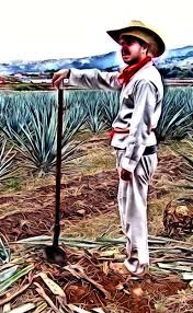 Around The World In 80 Jobs Find Your Work Find Your Muse Mexican Revolution Mexico World