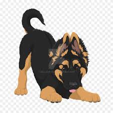 2.5 cold harbor german shepherds. German Shepherd Dog Png Image German Shepherd Png Stunning Free Transparent Png Clipart Images Free Download