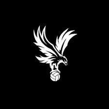 We offer you for free download top of crystal palace logo pictures. Crystal Palace Br On Twitter I Want This Shirts In Brazil