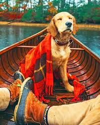Dog aesthetic sunflower wallpapers and background images for all your devices. Autumn Aesthetic Dog Animals Paint By Numbers Canvas Paint By Numbers