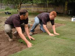 Get rid of the old turf debris. How To Remove Old Sod And Lay New Sod How Tos Diy