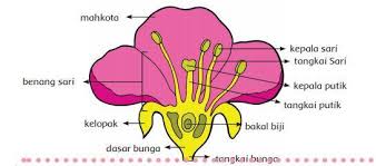 Try the suggestions below or type a new query above. Kunci Jawaban Buku Tematik Tema 1 Kelas 6 Sd Subtema 1