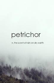 The Name For That Smell After It Rains Rare Words Cool Words Unusual Words