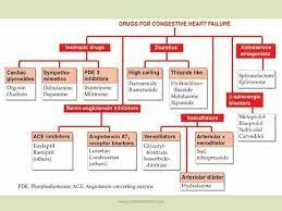 Heart Failure Pharmacy School Study Pharmacology Nursing Medical School Studying