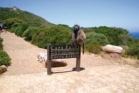 The transfiguration of jesus is celebrated on the sunday before lent. Sprachreisen Sudafrika Sprachschulen In Sudafrika Travelworks