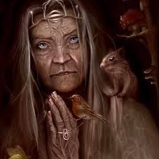 Buff Laced Polish Chicken"