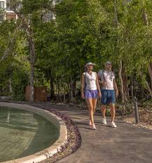 BOSQUES CIUDAD MAYAKOBA