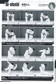 体落とし taiotoshi karate martial arts martial arts workout judo training