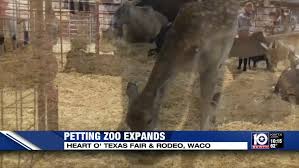 By educating children on these matters, we hope that they will see the importance of conservation, have a deeper value and respect for animals lives, and that. Waco Petting Zoo Expands At Hot Fair Rodeo