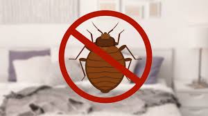 Kenapa rumah ada pepijat mypestnews. Semuanya Tentang Pepijat 6 Petua Hapuskannya Propertyguru Malaysia