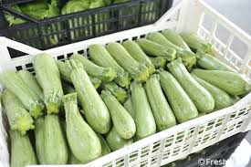 Check spelling or type a new query. Bad Moment For Zucchini