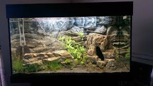 Grey Rock Background And 2 Matching Rocks The Best Aquarium 2020 Akvaryum