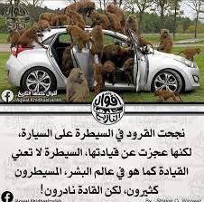 كبسولات القسط الهندي muayadmakki twitter quran quotes love words quotes simple love quotes