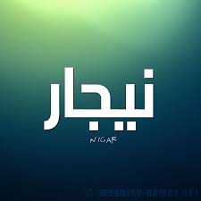 معنى اسم نيجار قاموس الأسماء و المعاني