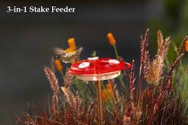 Nectar is well contained out of the reach of bees, wasps and small birds like sparrows and finches. 3 In 1 Hummingbird Feeder Versatile Window Stake Or Hanging Feeder