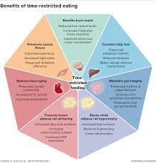 A body type that oxidizes the food fast also releases energy fast. The When Of Eating The Science Behind Intermittent Fasting