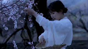 李子柒on twitter everything awakes before i realize it part 1 还没回过神 万物皆醒 一 love garden peach blossoms blooming flowers