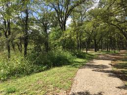 Maybe you would like to learn more about one of these? A Cabin Picture Of Mckinney Falls State Park Austin Tripadvisor