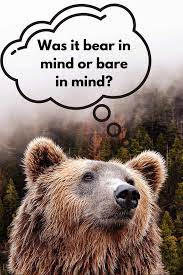When you bear in mind the fact that your friend is scared of heights, you won't suggest a in either case, you're keeping a fact or an idea in your thoughts. Bare In Mind Vs Bear In Mind Which One Is Correct