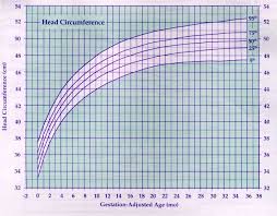 u s pediatric cdc growth charts