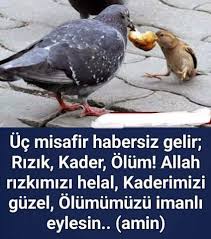 Ceyda Incehasan Adli Kullanicinin Guzel Sozler Panosundaki Pin Dualar Inanc Maneviyat