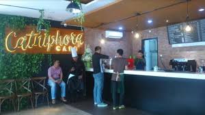 Tak Sekadar Tempat Nongkrong Catniphora Cafe Solo Juga Bisa Untuk Tempat Meeting Tribun Solo